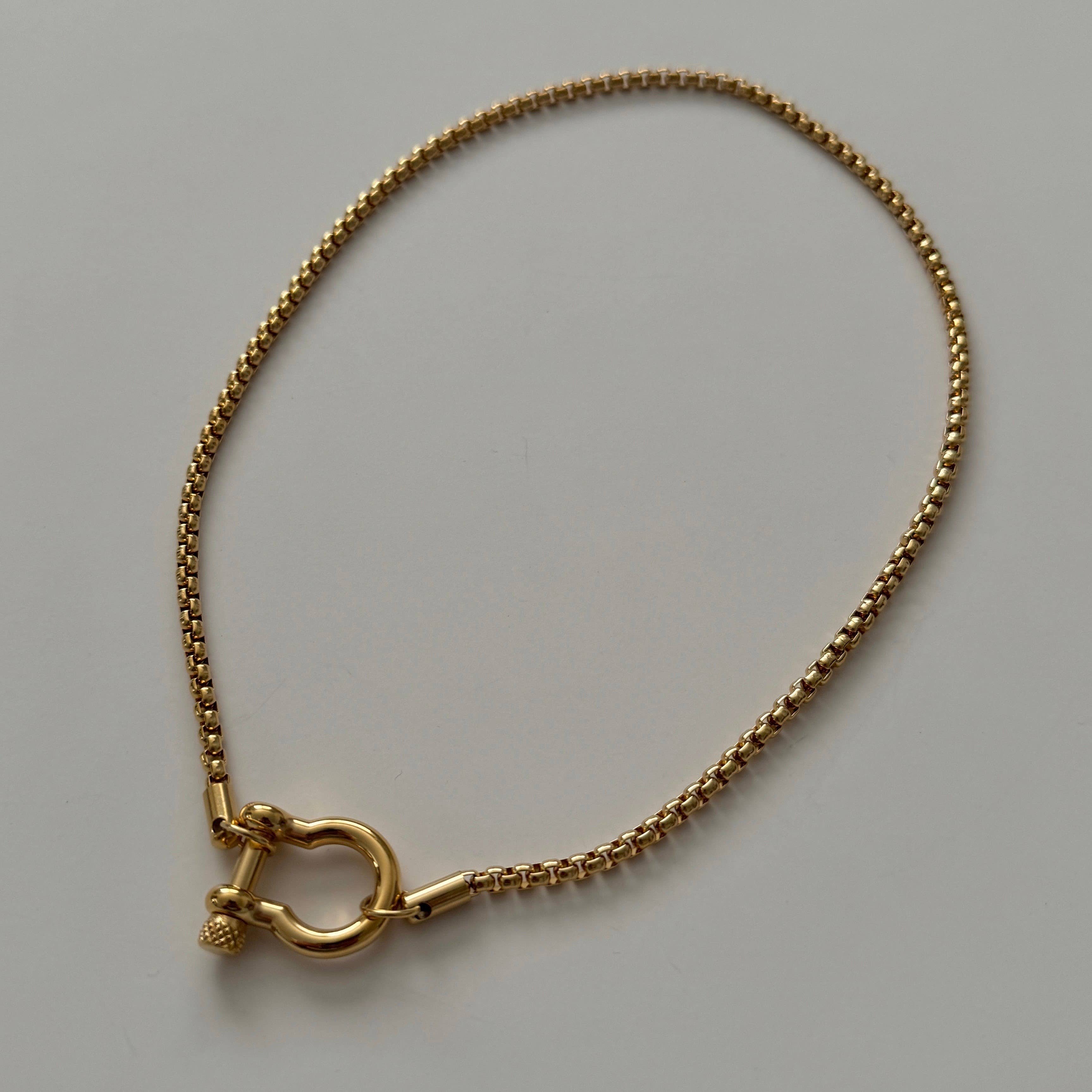 Horseshoe Carabiner Necklace