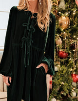 Noelle Velvet Dress