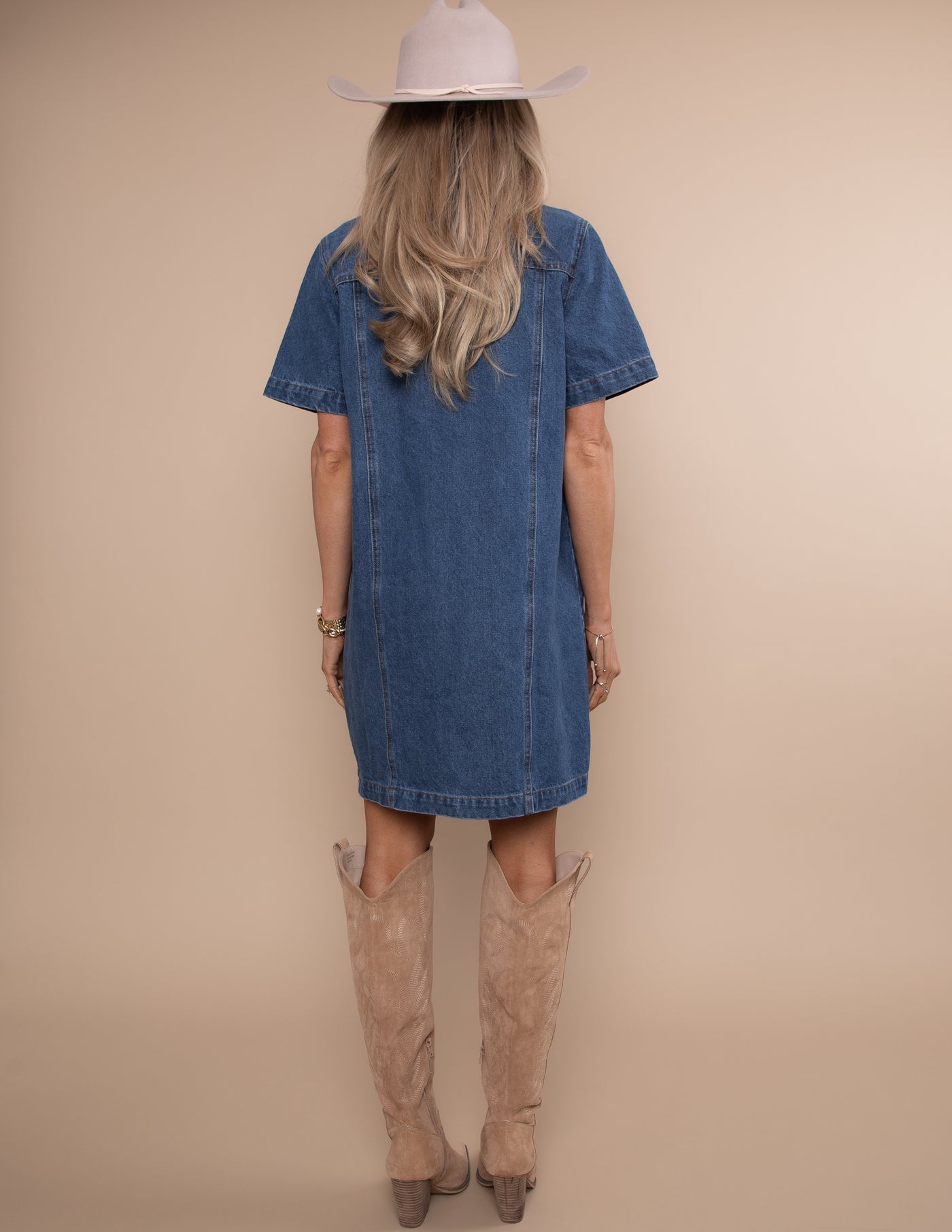 Lexie Denim Dress