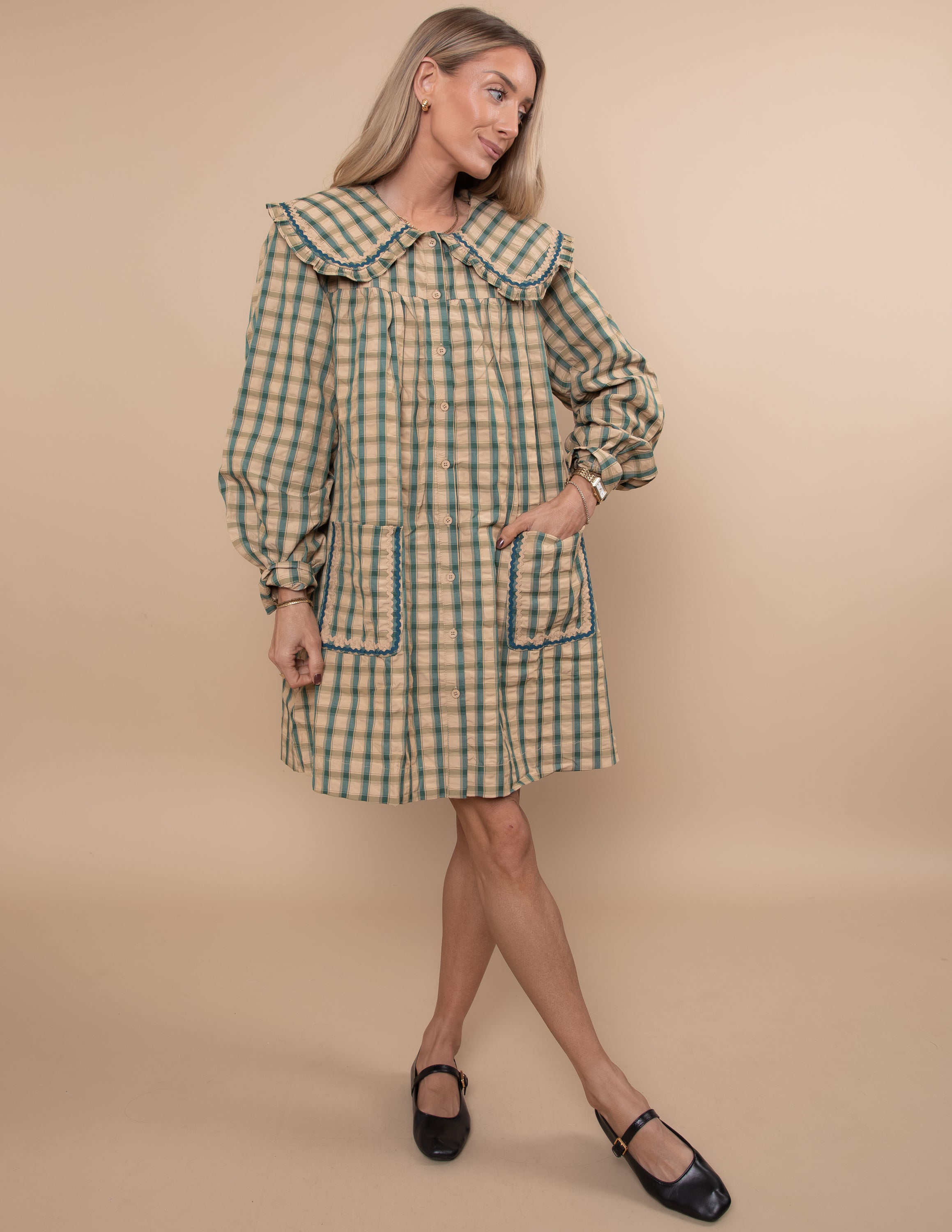 Picnic Poet Check Dress
