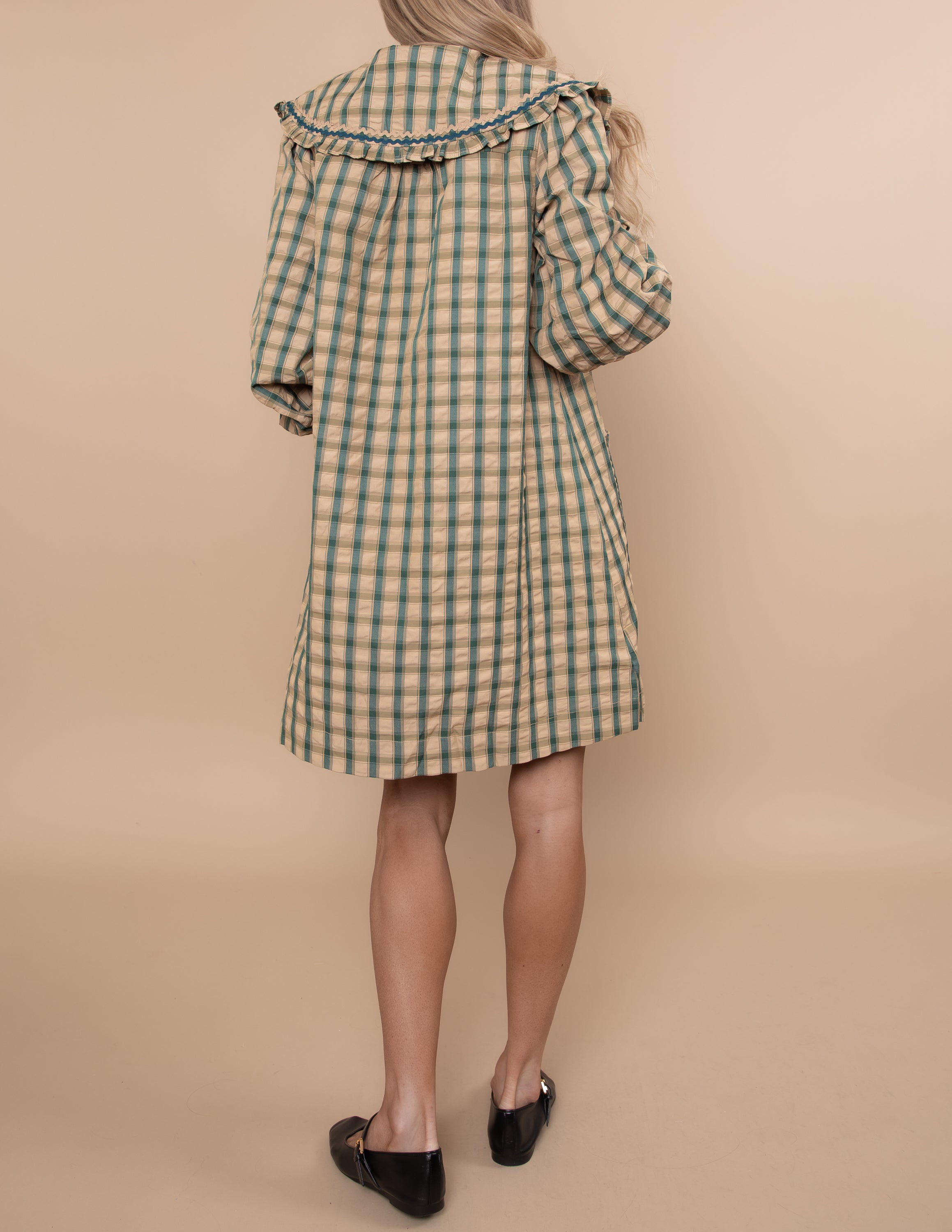 Picnic Poet Check Dress
