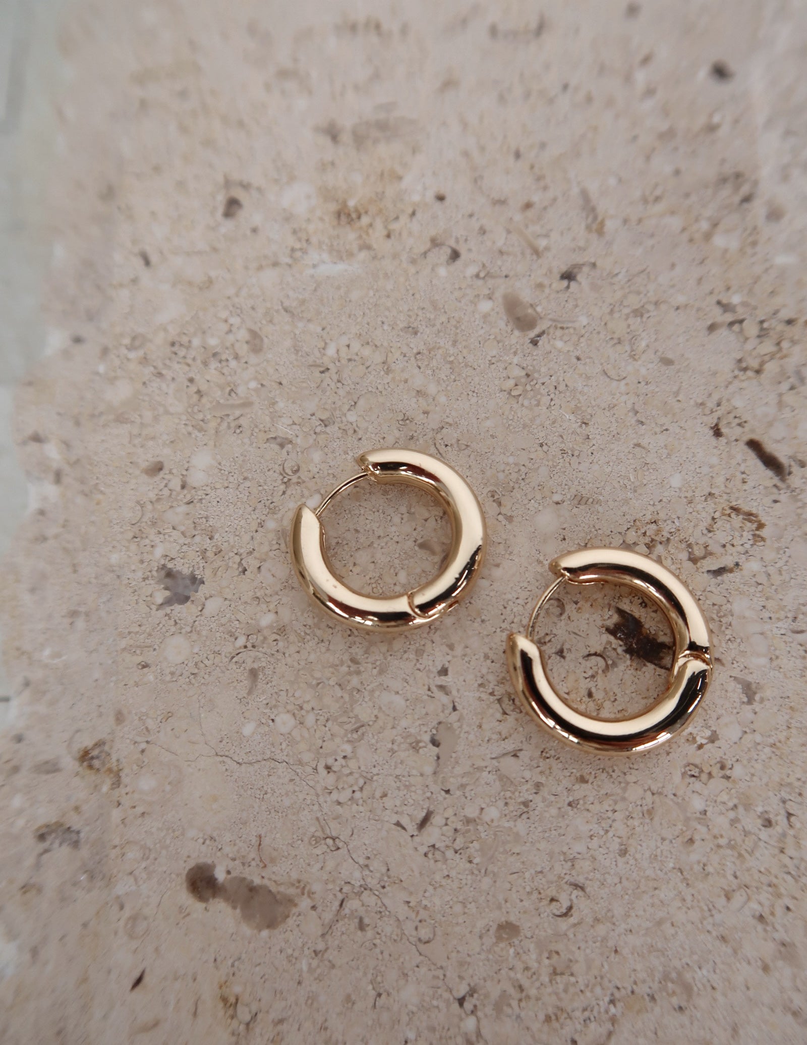 Small Gold Hoop Earrings