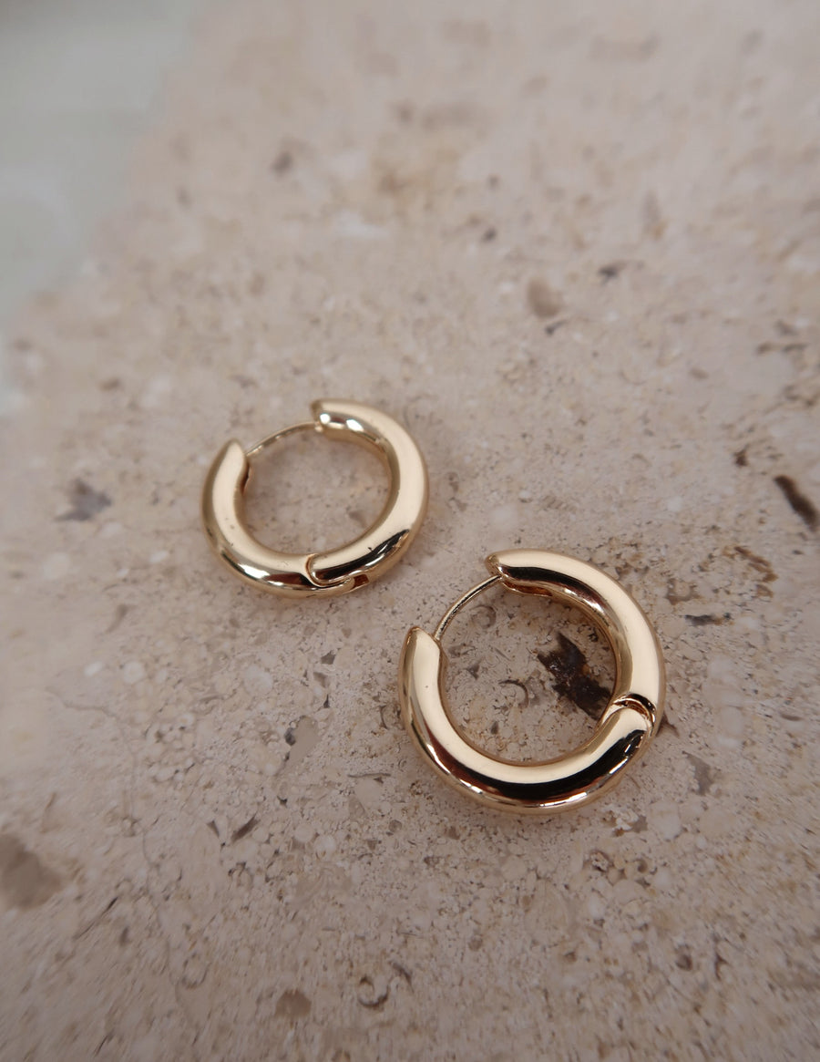 Small Gold Hoop Earrings
