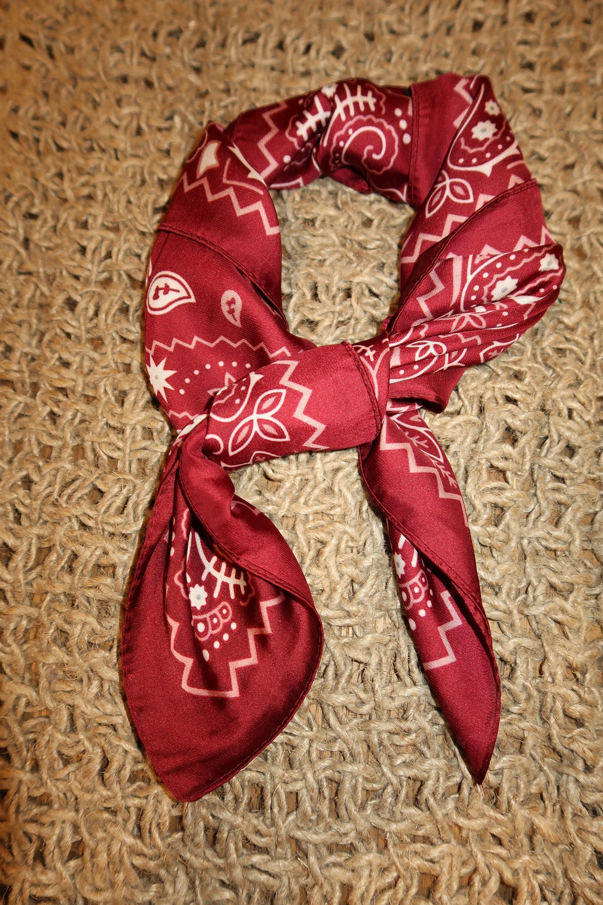 Saddle Up Bandana