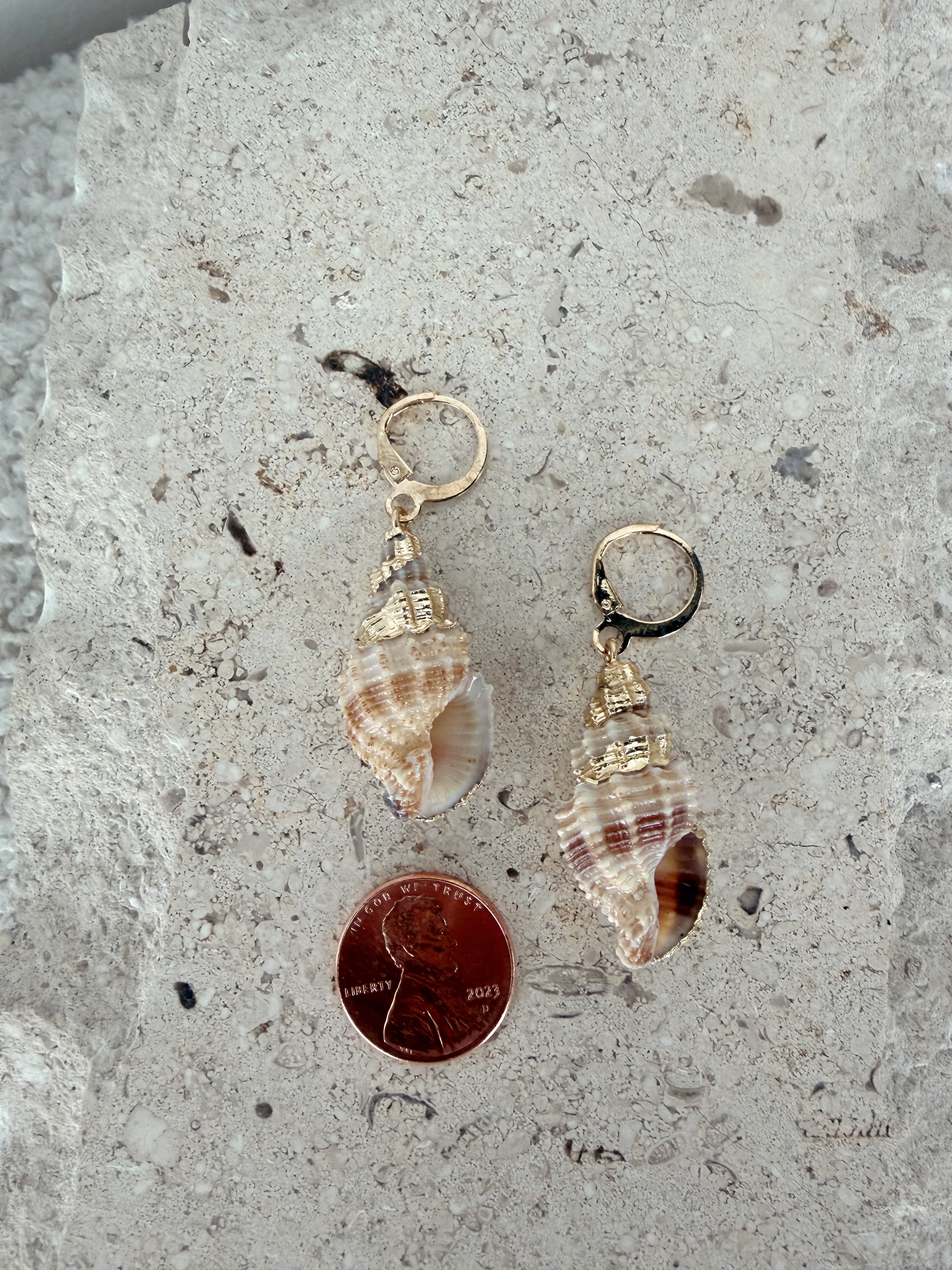 North Shore Shell Earring