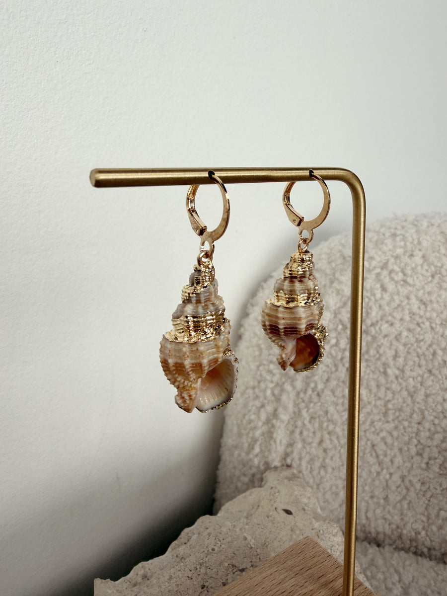 North Shore Shell Earring