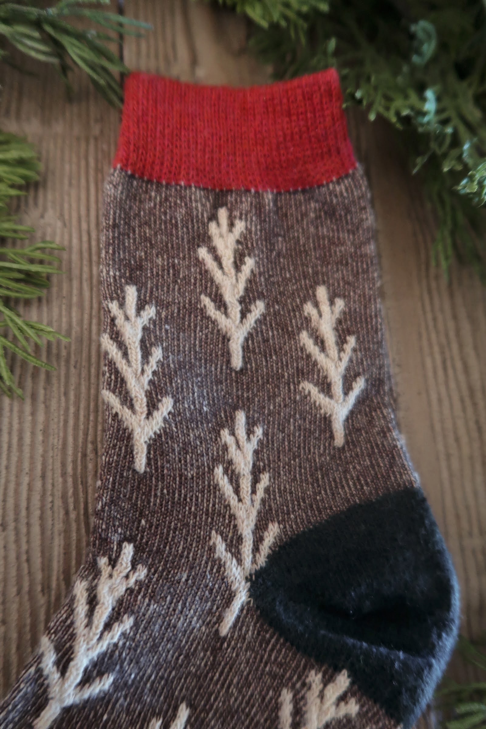 Winter Pine Sock