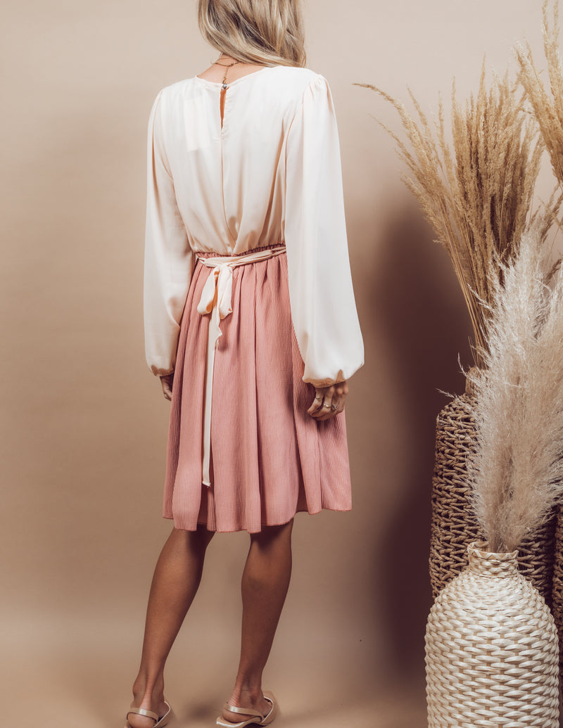 Sasha Color Block Dress