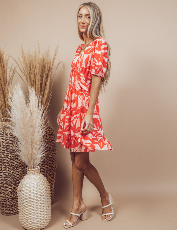 Carina Printed Dress
